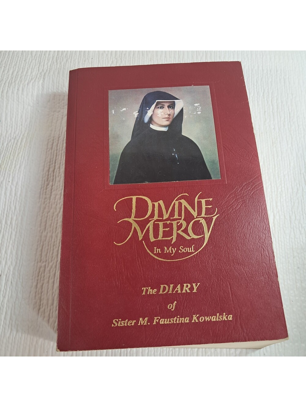 Divine Mercy in My Soul The Diary of Sister M. Maria Faustina Kowalska book